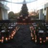 A wedding ceremony with candles and a christmas tree.