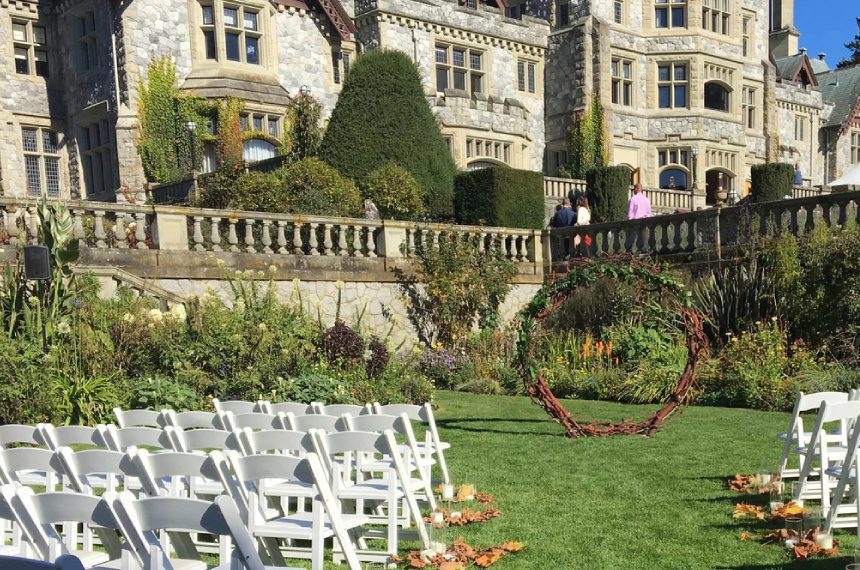 A lawn with chairs and flowers in the grass.