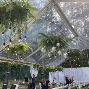 A clear tent with hanging plants and lights.