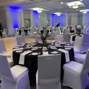 spandex chair covers by Designer Weddings