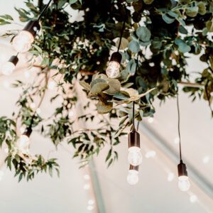 A ceiling with lights and plants hanging from it.