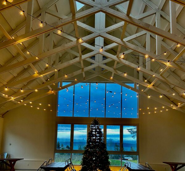 A large room with lights and a christmas tree.