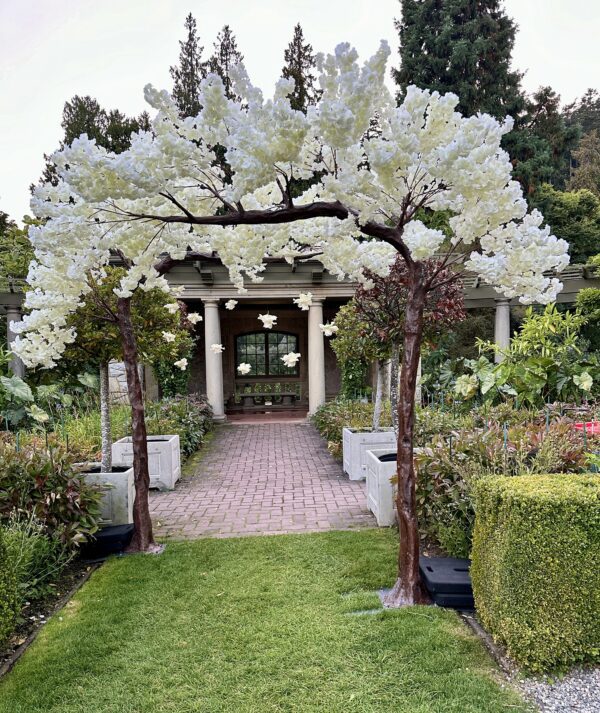 11 ft tree white flowers