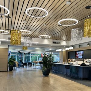 Fringe ceiling treatment