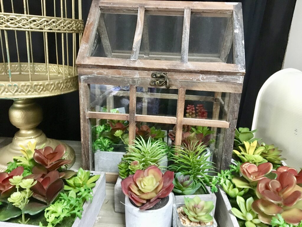 terrarium envelope box