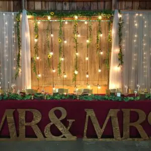 A wedding backdrop with lights and flowers