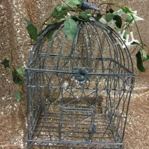 A bird cage with a plant on top of it.