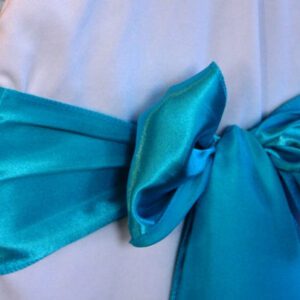 A close up of the bow on a blue satin sash