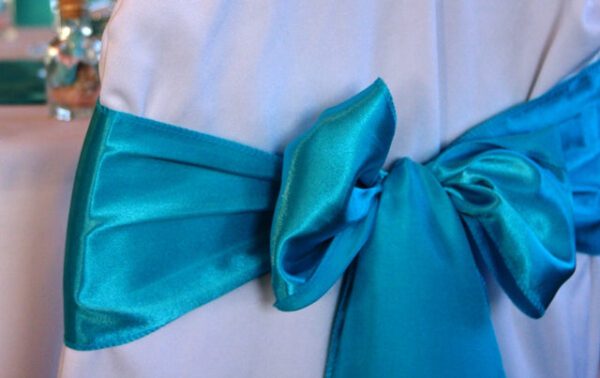 A close up of the bow on a blue satin sash