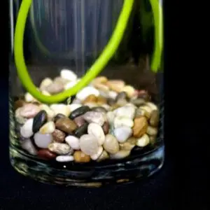 A glass vase with rocks and a green cord.