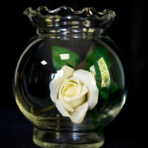 A white rose in a glass vase on a table.