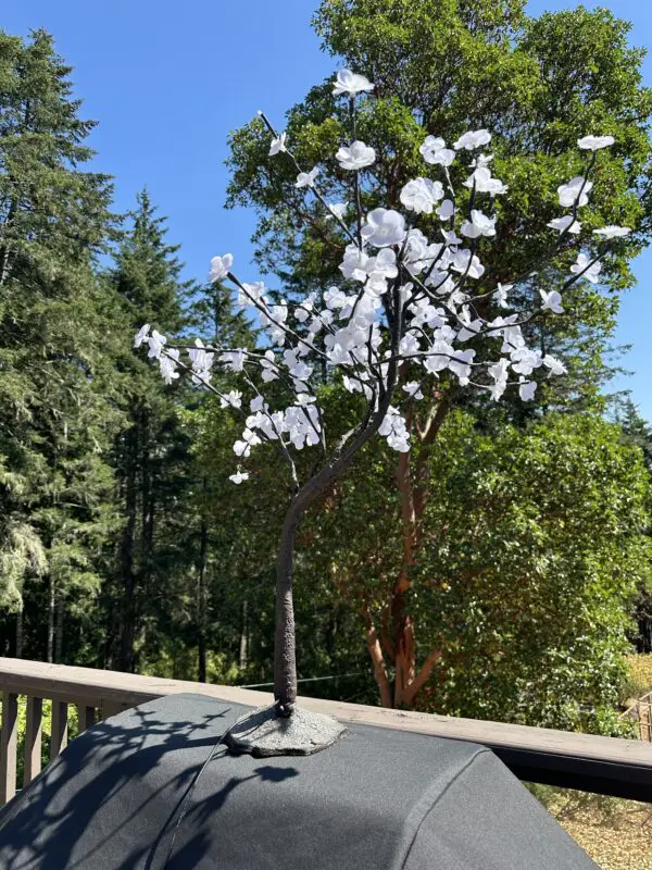 flowered trees