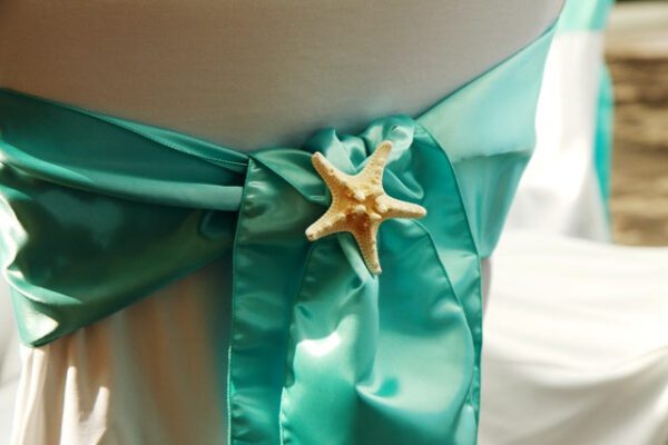 A close up of the starfish on the back of a chair