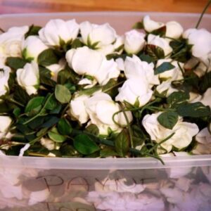 white flowers by the bin