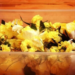 yellow flowers by the bin
