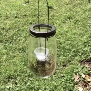 A mason jar hanging from the ground with a light inside.