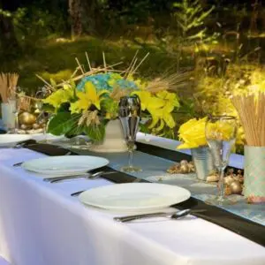 A table set with plates and utensils for an outdoor party.