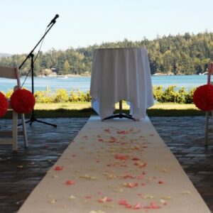 Carpet aisle runner by Designer Weddings