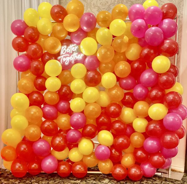 Balloon Photo Backdrop