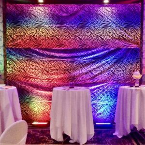 disco photobooth backdrop package