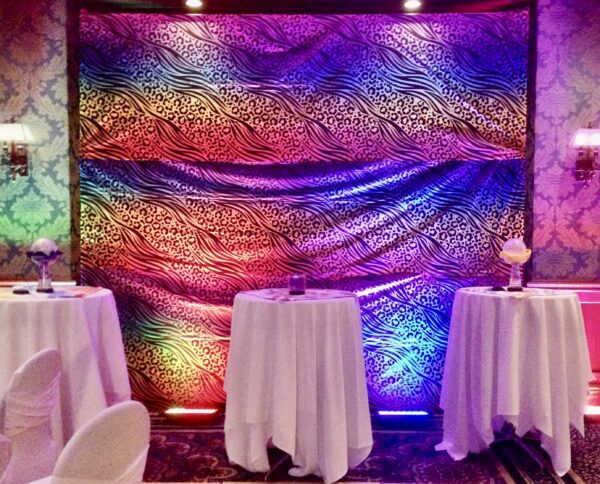 disco photobooth backdrop package